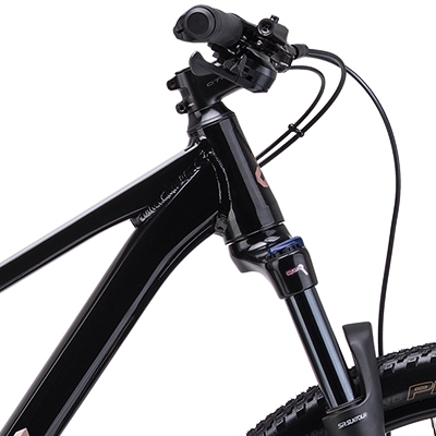 charisma-2-0-29-mat-cierna-2026-d1